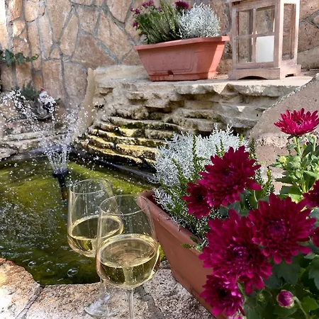 Csobogo Vendeghaz Eğri