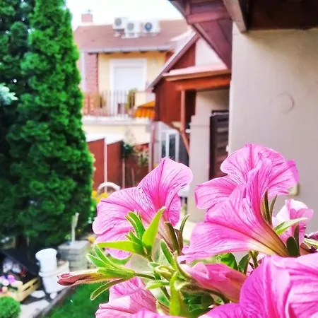 Csobogo Vendeghaz Apartmán