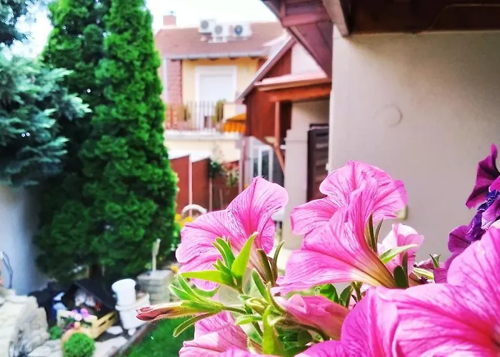 Csobogo Vendeghaz Daire